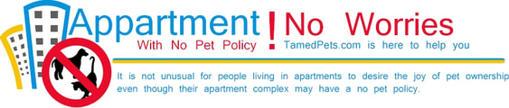 Apartment pets