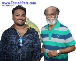 Vijay.AR of TamedPets.Com with Superstar Mr.Rajinikanth after KABALI movie shoot.